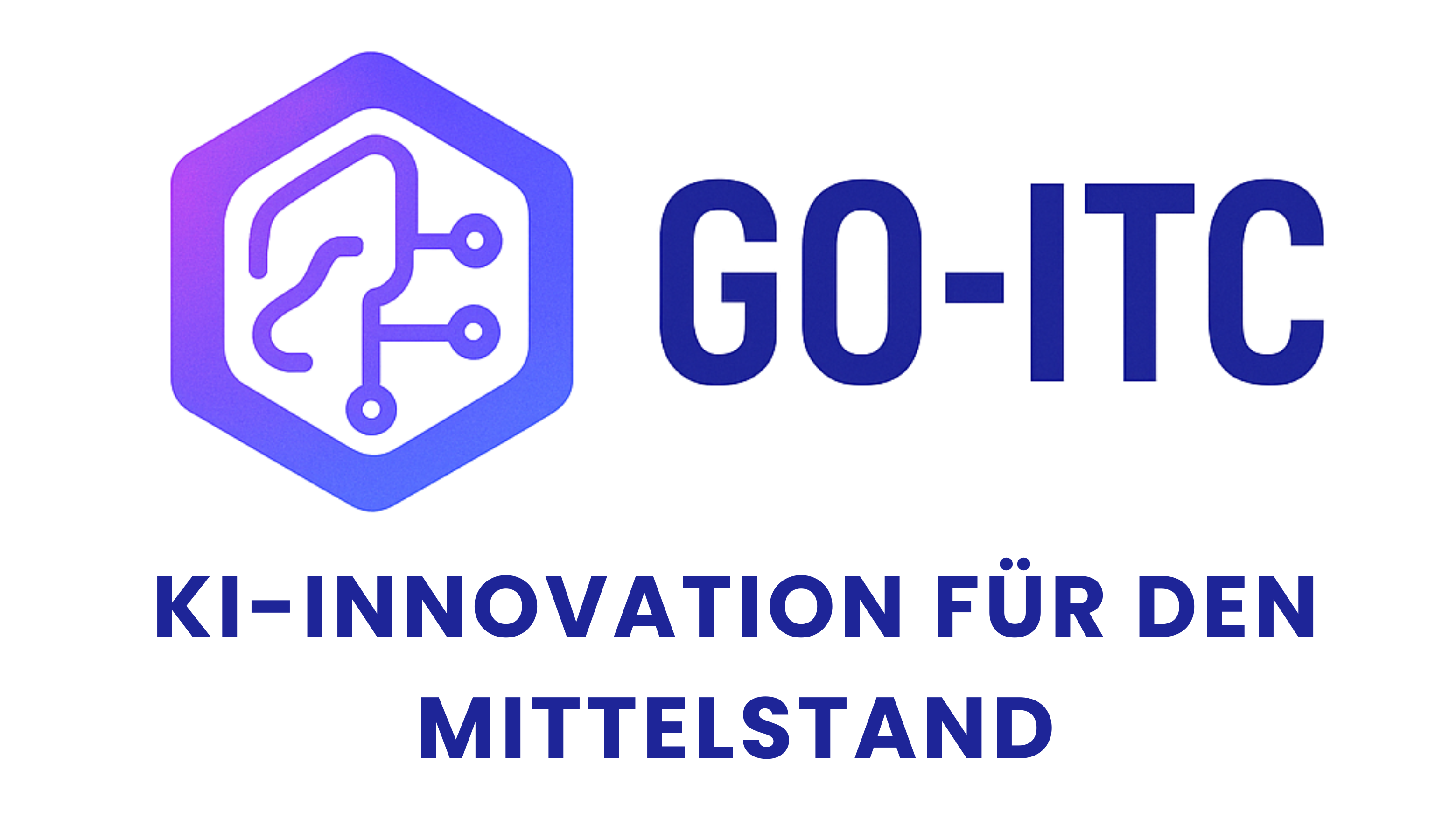 Gräbner Omahna IT Consulting